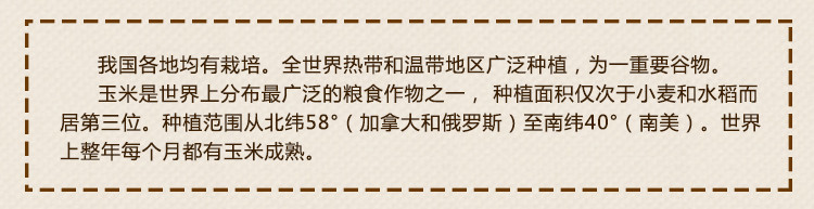 【锦州馆】道隐谷 紫苏玉米粉400g冲调粉代餐粉五谷杂粮粉现磨健康食品