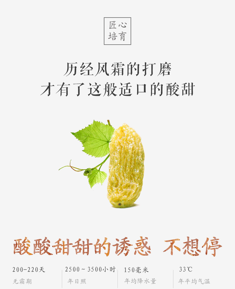 【方家铺子_葡萄干】新疆吐鲁番特产 零食蜜饯无核葡萄干200g/袋