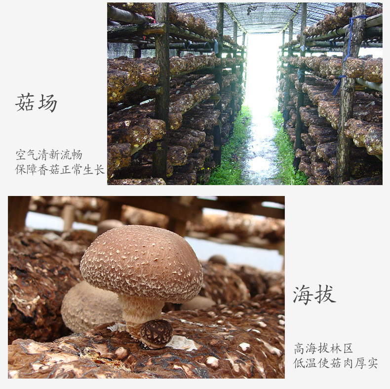 【方家铺子_香菇】福建特产香菇干货 冬菇 个大片厚 煲汤佳品138g