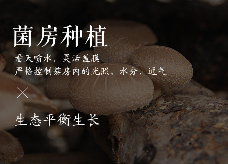 【方家铺子_香菇】福建特产香菇干货 冬菇 个大片厚 煲汤佳品138g
