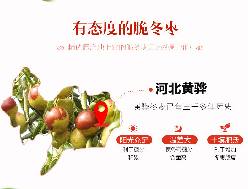 【楼兰蜜语_脆冬枣35gx5袋】新疆零食特产干果枣即食无核小冬枣子