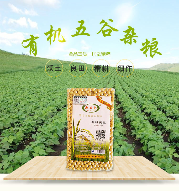 老五屯有机黄豆东北特产黄豆五谷杂粮真空袋装有机黄豆330g