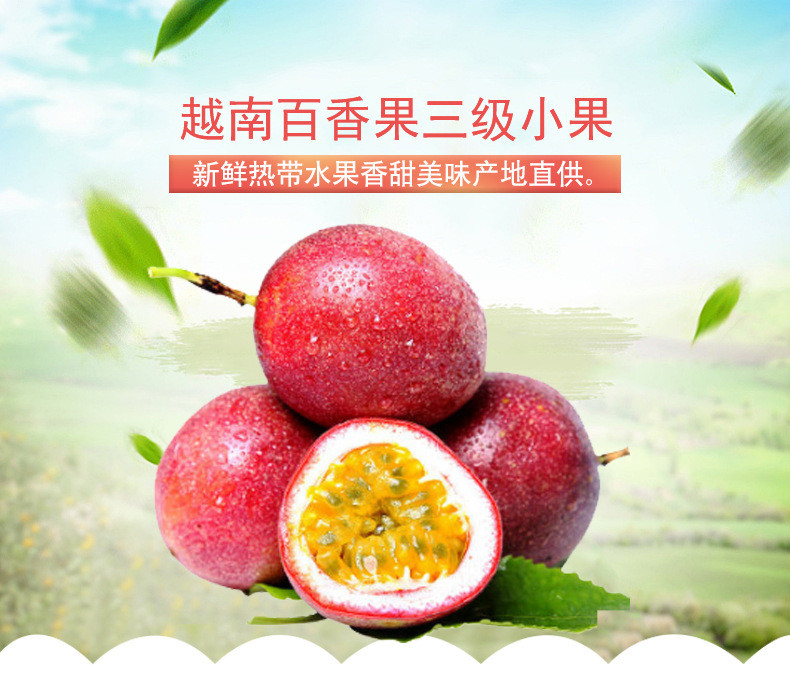 越南百香果热带水果新鲜西番莲鸡蛋果现摘三级小果酸爽香甜