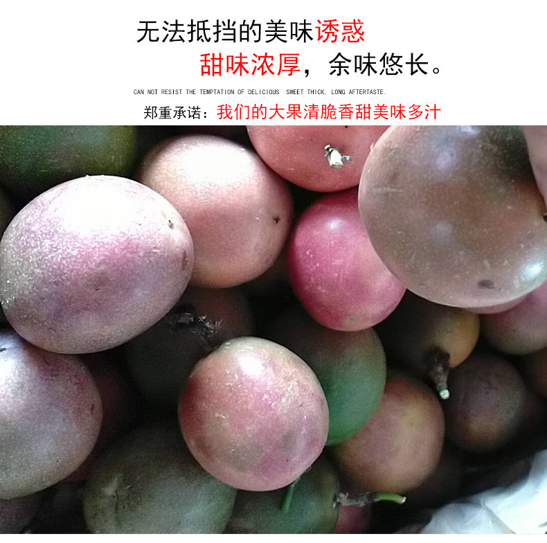 越南百香果热带水果新鲜西番莲鸡蛋果现摘三级小果酸爽香甜