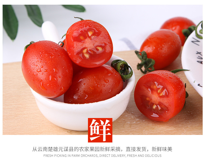云南圣女果新鲜采摘小番茄农家自然种植新鲜水果蔬菜小番茄圣女果