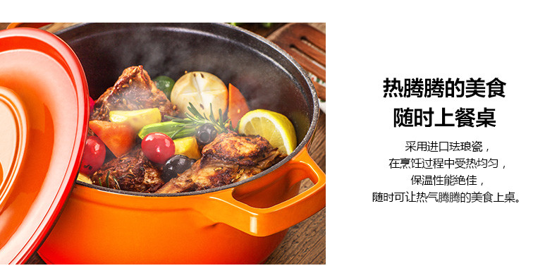 炊大皇/COOKER KING 珐琅炖锅铸铁锅 焖烧锅煲汤电磁炉汤锅燃气锅具24cm