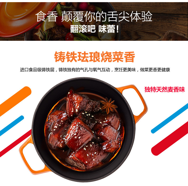 炊大皇/COOKER KING 珐琅炖锅铸铁锅 焖烧锅煲汤电磁炉汤锅燃气锅具24cm