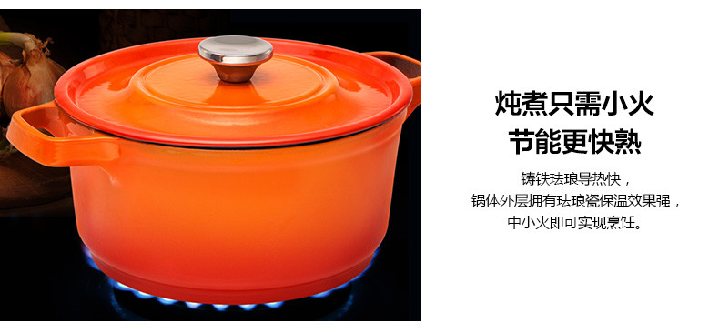 炊大皇/COOKER KING 珐琅炖锅铸铁锅 焖烧锅煲汤电磁炉汤锅燃气锅具24cm