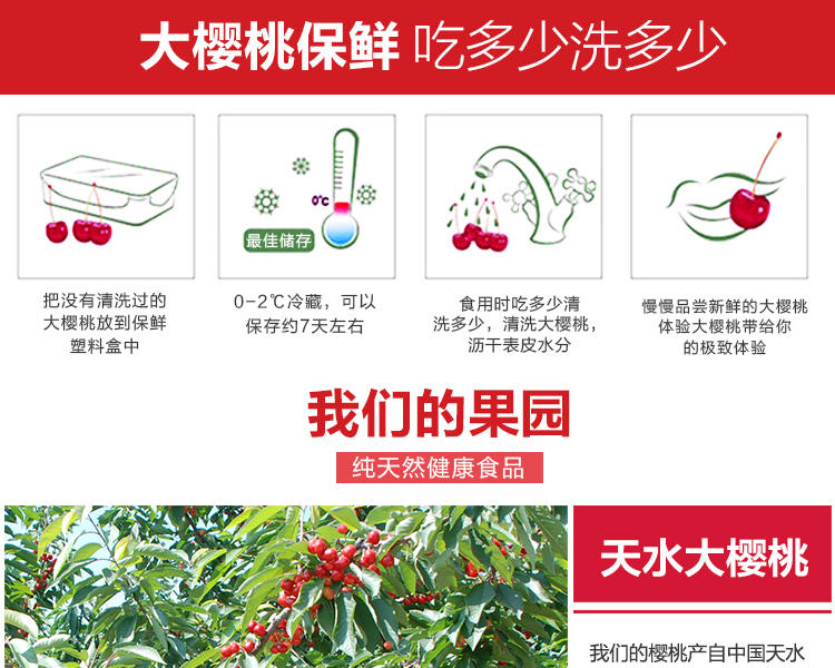 新润果园  甘肃天水秦州特级大樱桃