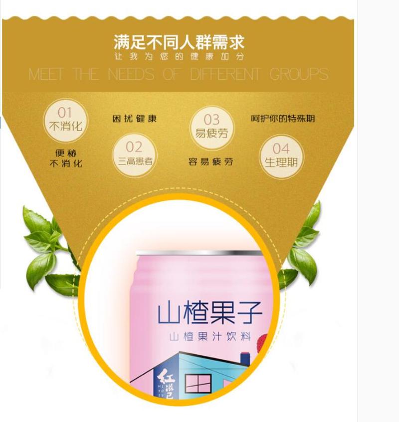 【邮乐 臻选生活馆】 张掖特产 红滋己  杏皮茶/山楂果子饮料  310ml*10听