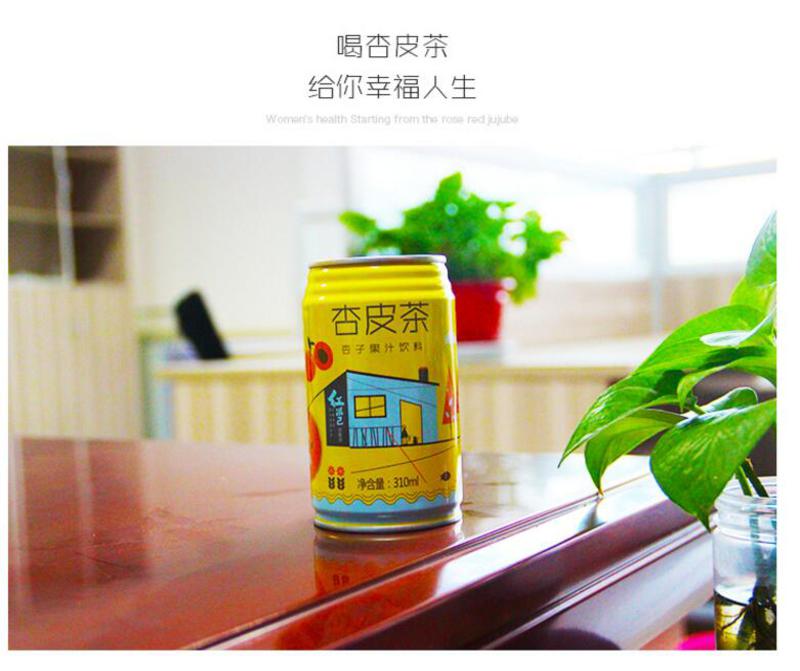 【邮乐 臻选生活馆】 张掖特产 红滋己  杏皮茶/山楂果子饮料  310ml*10听