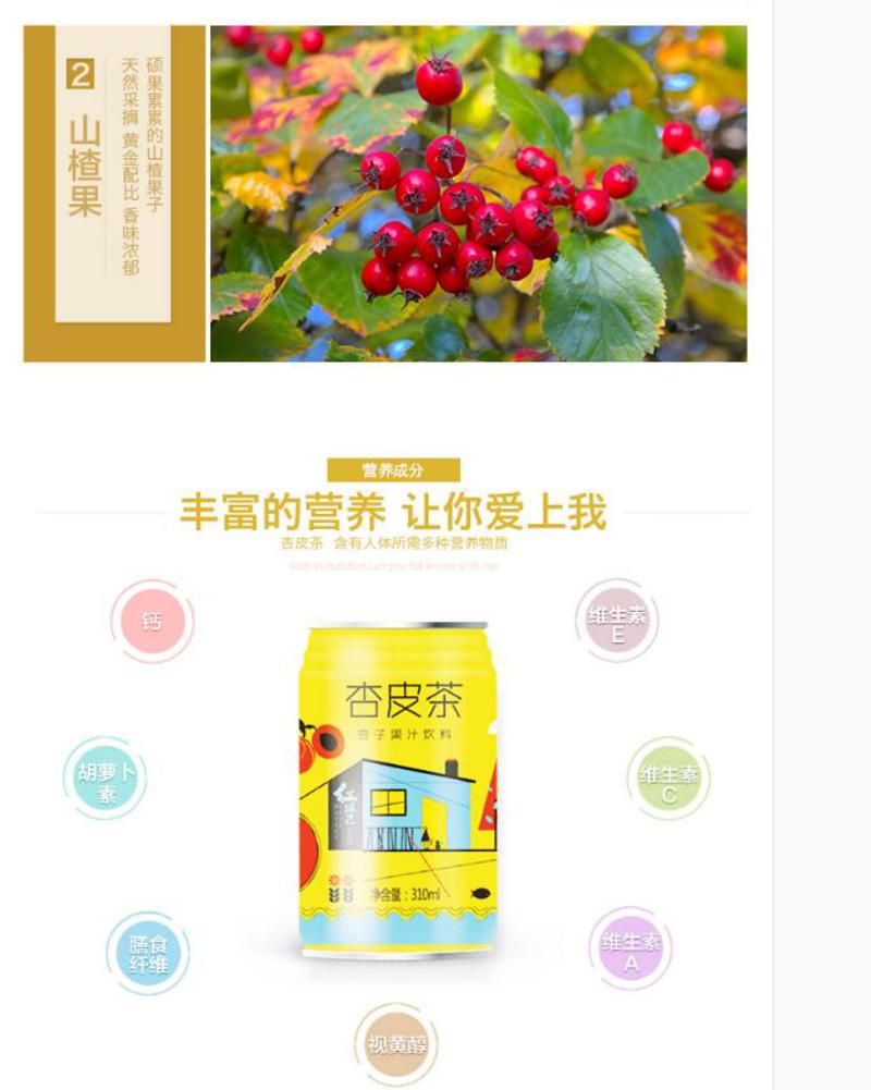 【邮乐 臻选生活馆】 张掖特产 红滋己  杏皮茶/山楂果子饮料  310ml*10听