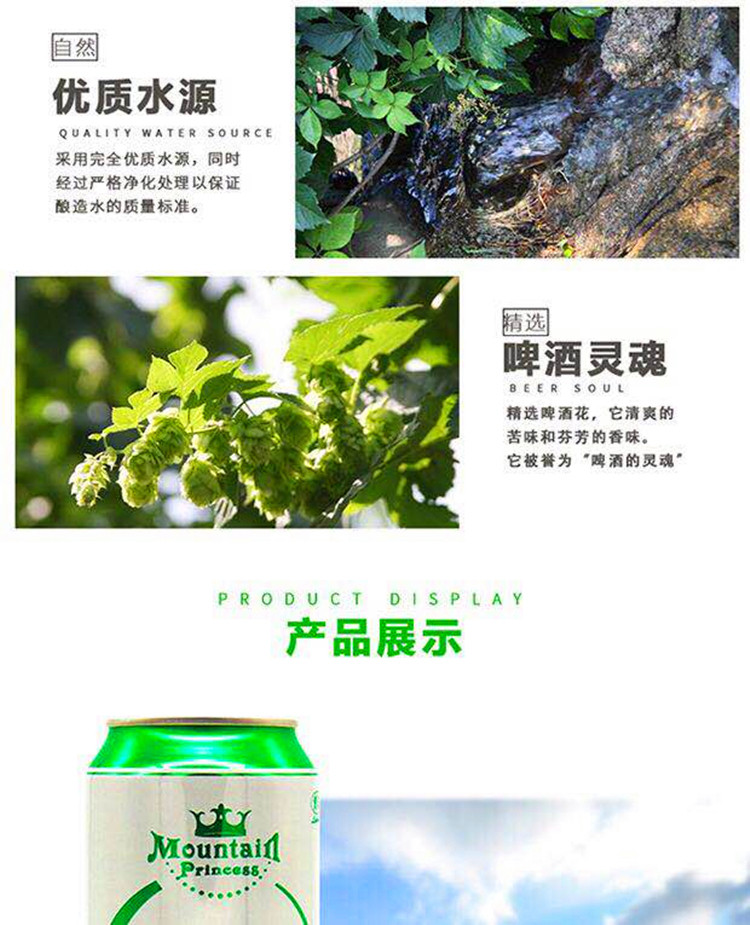 雷诺啤酒 500ml*12听