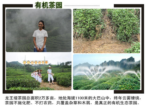 【十堰馆】湖北绿茶竹溪茶叶  新茶春茶 正品龙王垭茶礼盒装200g