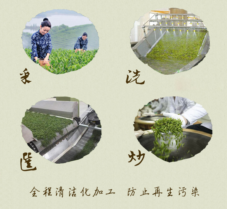 玉皇剑2018新茶明前有机绿茶嫩芽特级茶叶正品金剑礼盒高山云雾茶