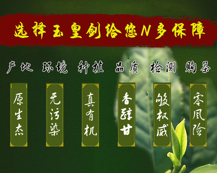 玉皇剑2018新茶明前有机绿茶嫩芽特级茶叶正品金剑礼盒高山云雾茶