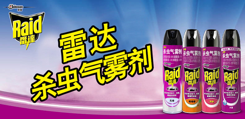 雷达（Raid）杀虫剂气雾剂喷雾600mlx2瓶家用 无香型灭蟑螂小飞虫驱蚊灭蚊