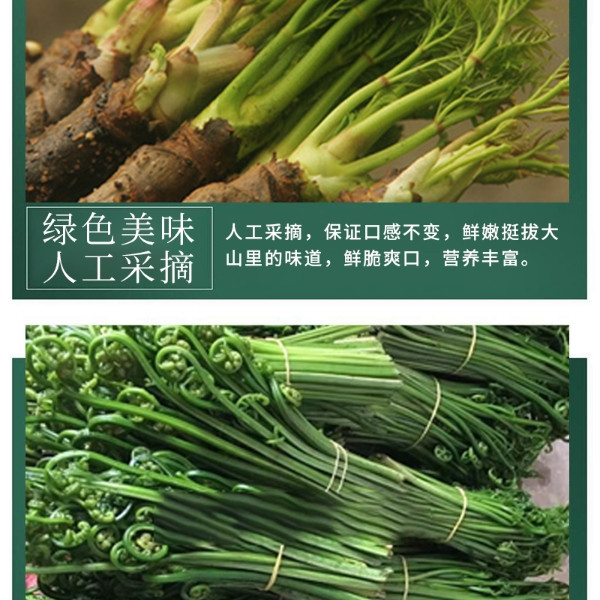 邮惠农 刺嫩芽1斤+蕨菜1斤
