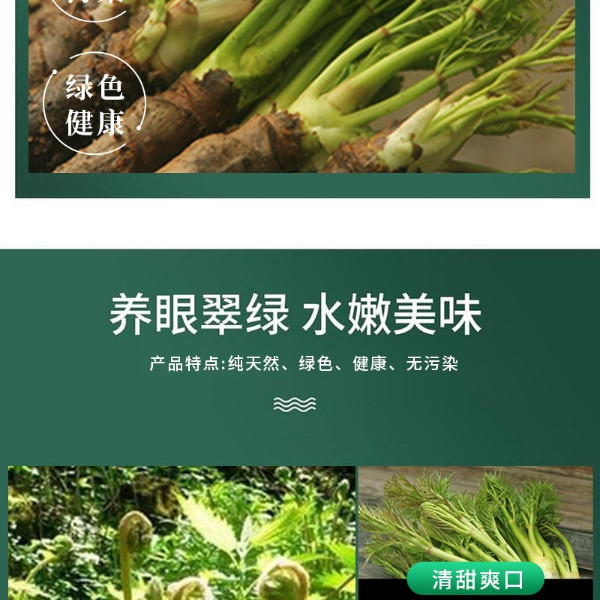 邮惠农 蕨菜2斤