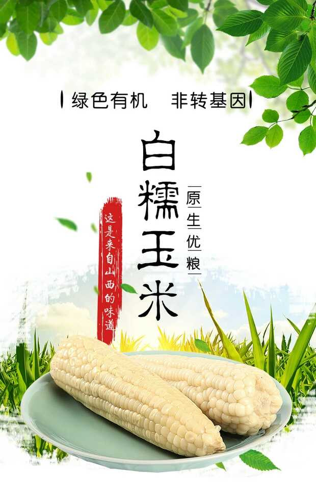 【五台山馆 · 五寨】璟玉 三色甜糯玉米 220g*9 包邮