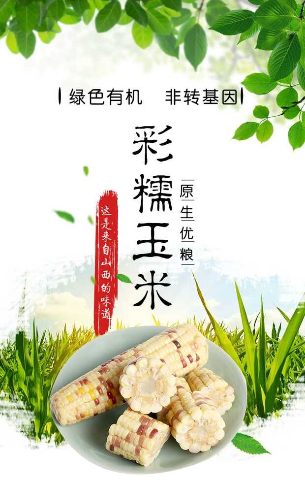 【五台山馆 · 五寨】璟玉 三色甜糯玉米 220g*9 包邮