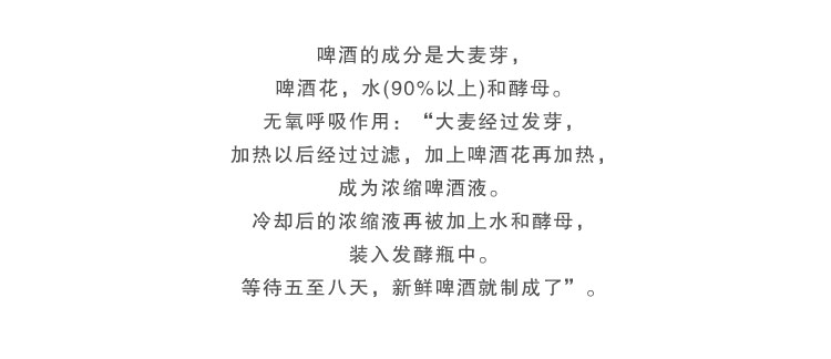 【我爱俄小糖】【12听】德国正品啤酒 原装进口啤酒费尔德堡啤酒白啤酒500ml×12