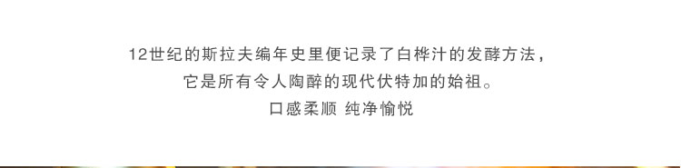 俄罗斯原装进口金白桦伏特加酒500ml包邮（新疆、青海、西藏除外）