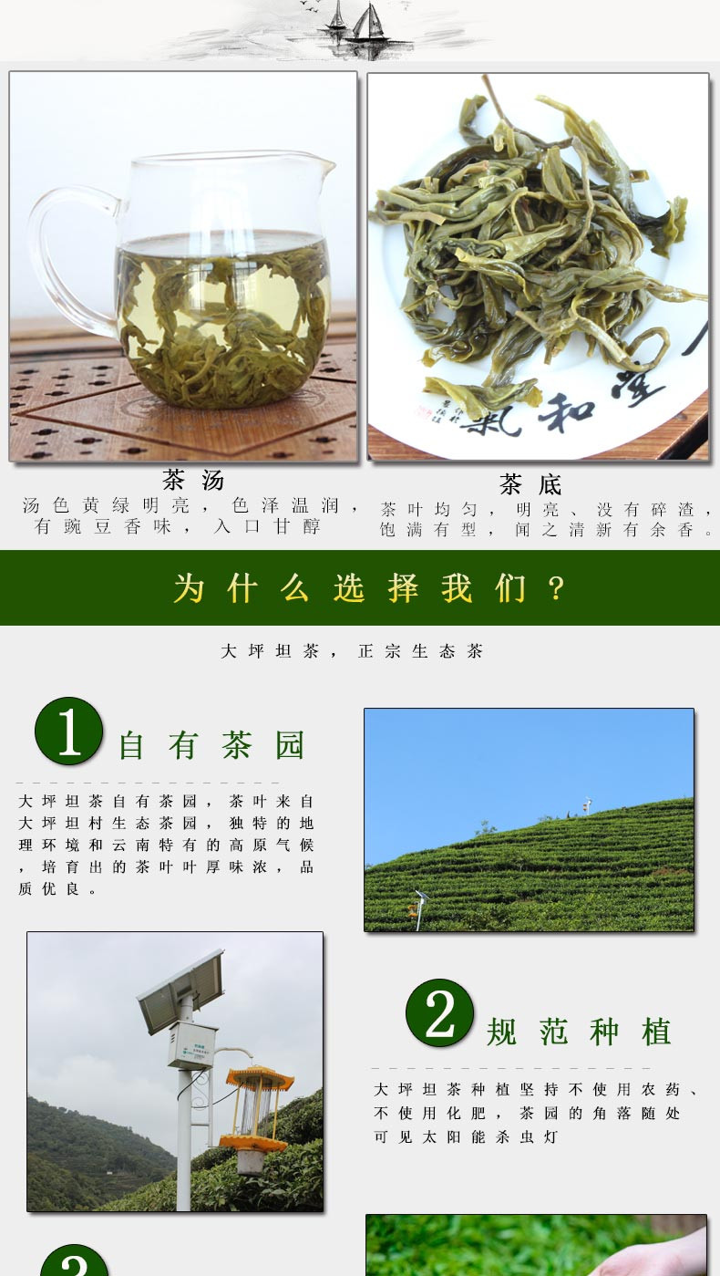 凤鸣桥 云南永平高山生态茶 炒青一级200g