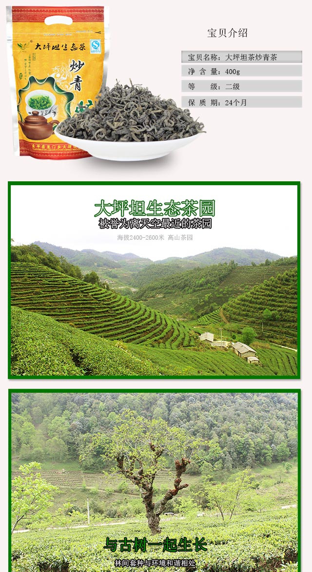 凤鸣桥 云南永平高山生态茶炒青二级400g 大坪坦