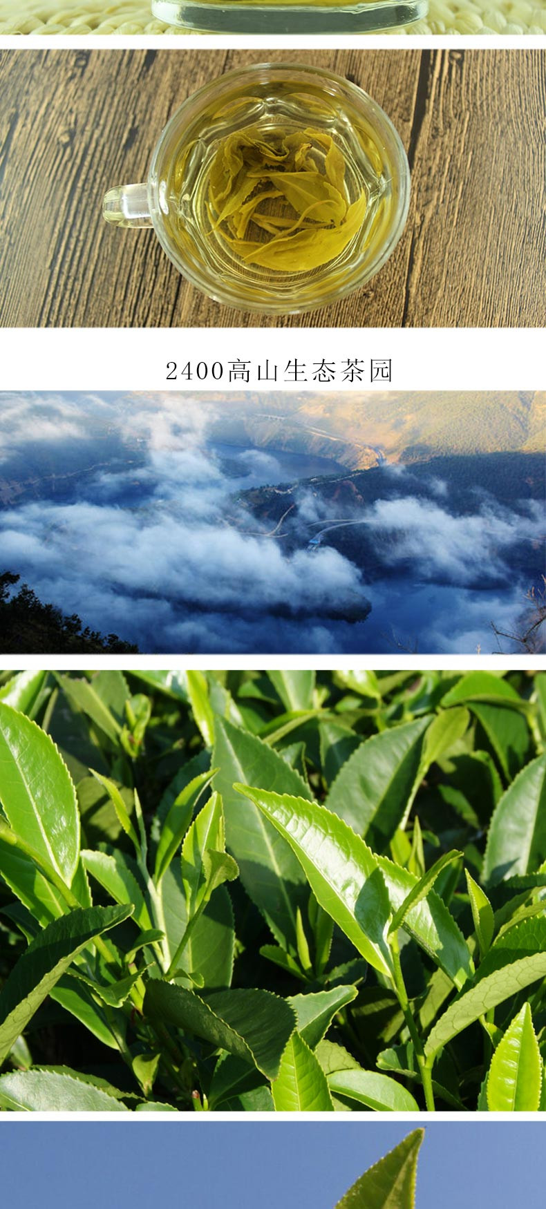 凤鸣桥 云南永平高山生态茶博南山碧螺春小袋 150g 博南山茶