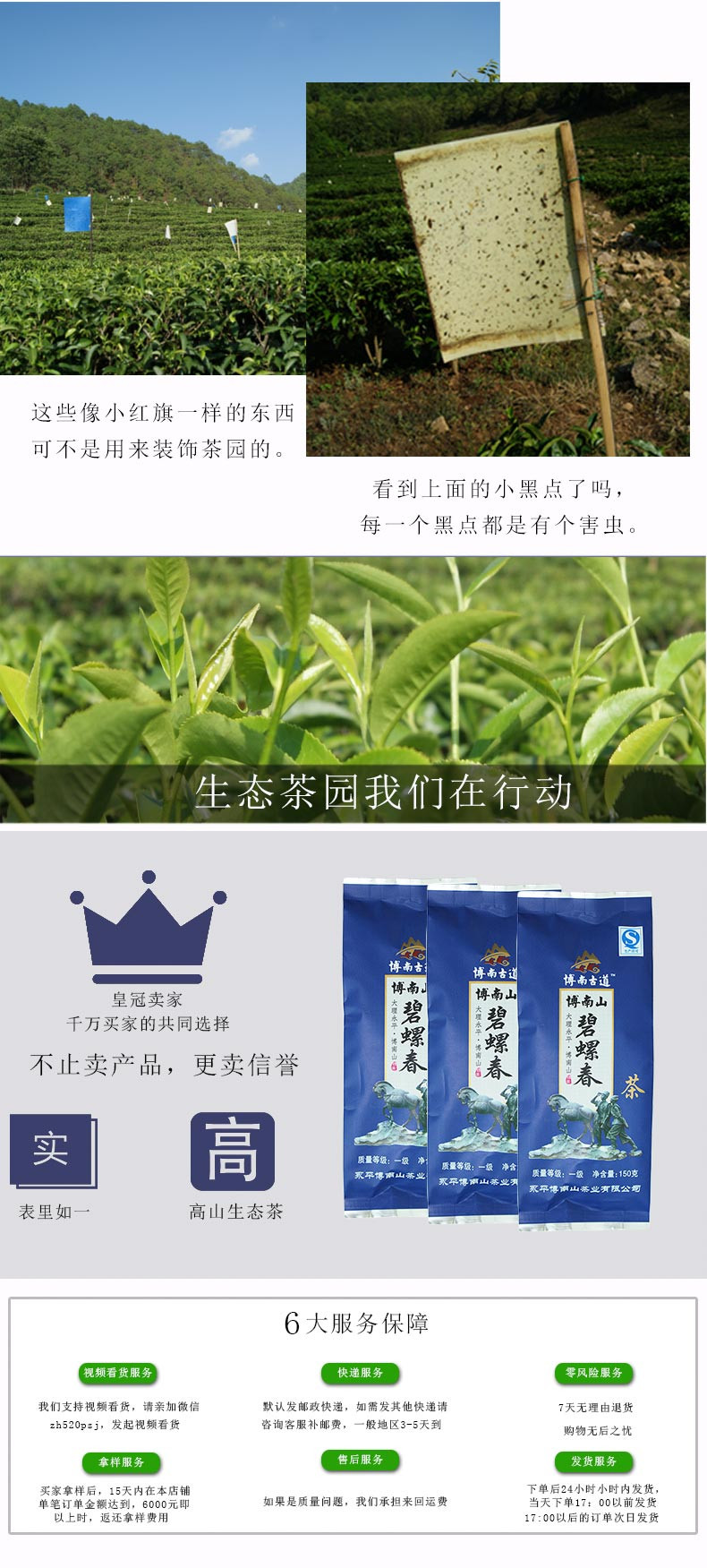 凤鸣桥 云南永平高山生态茶博南山碧螺春小袋 150g 博南山茶