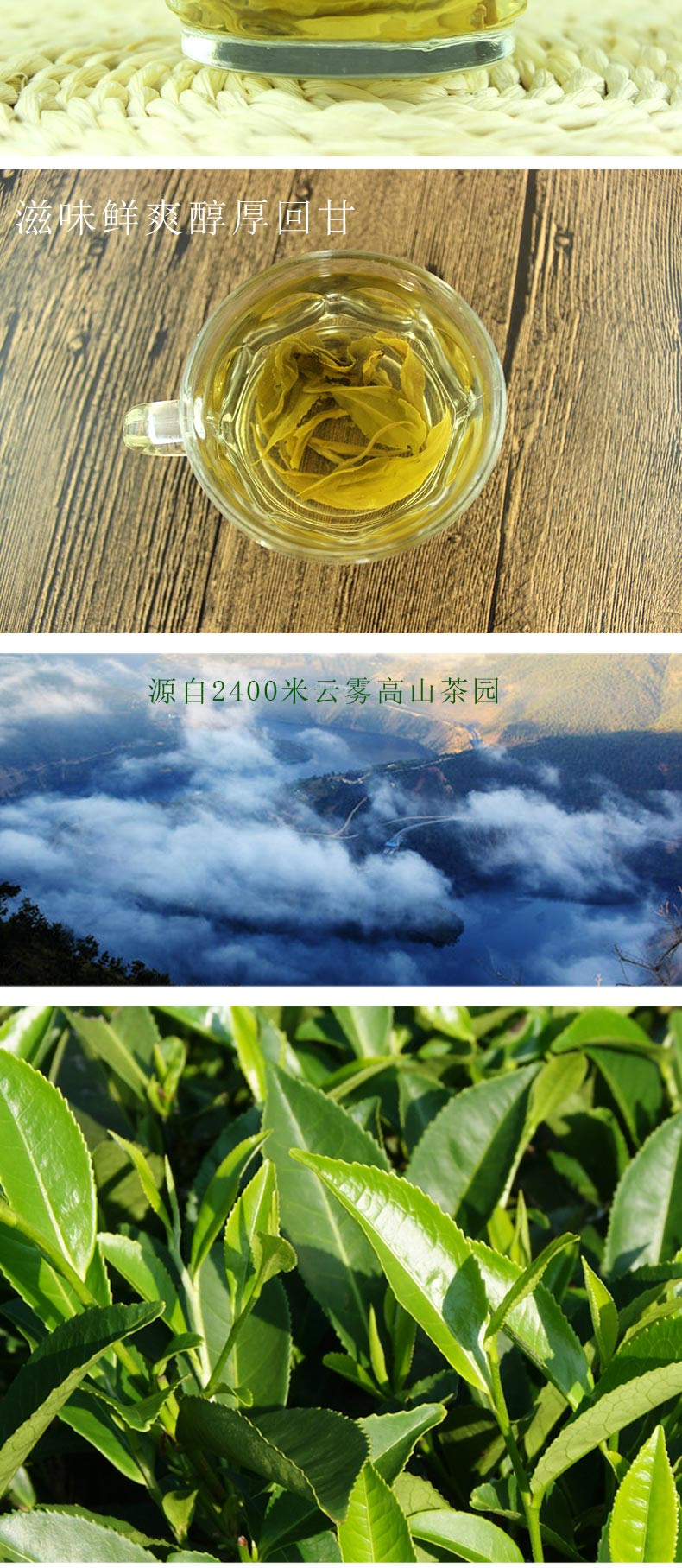 凤鸣桥 云南永平高山生态茶博南山双听 300g 博南山茶