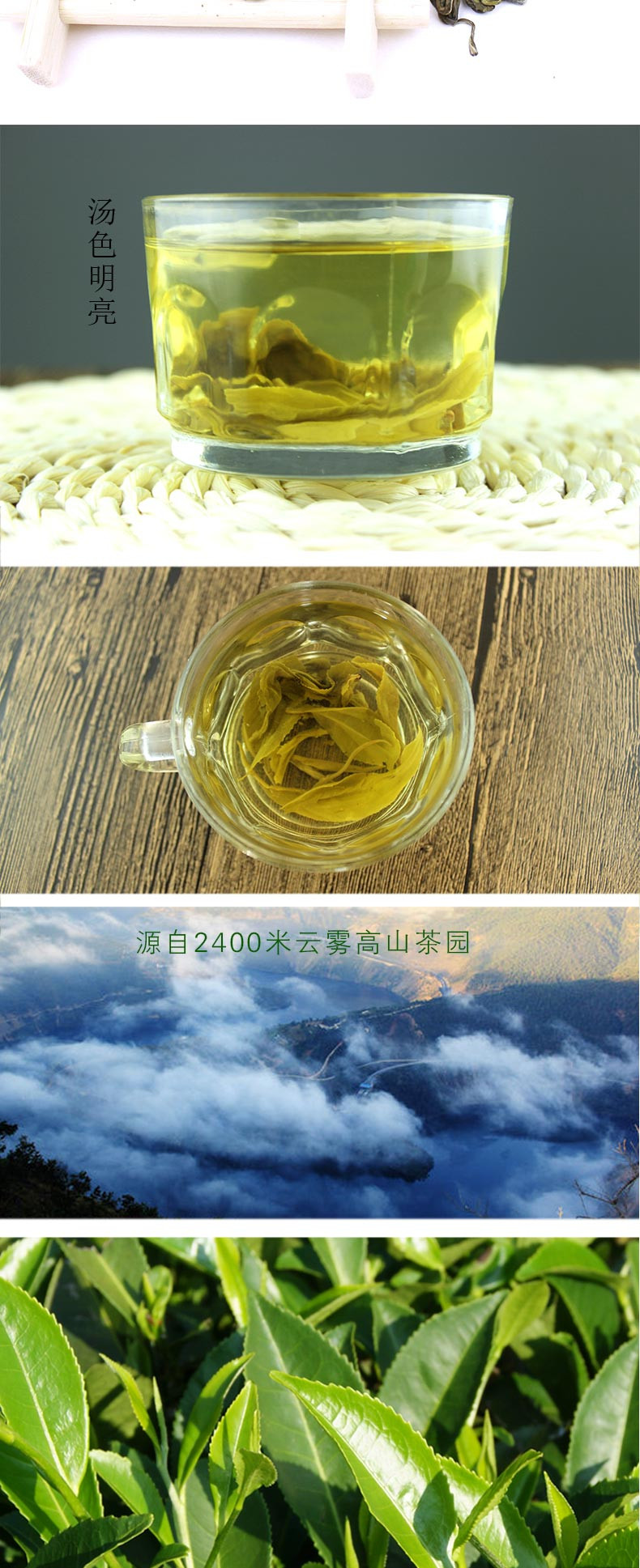 凤鸣桥 云南永平高山生态茶博南山碧螺春单听 150g 博南山茶