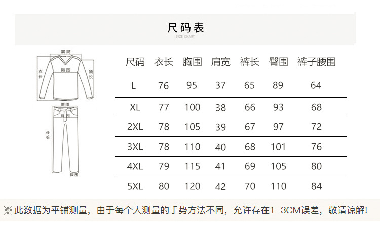 胖妹妹大码女装洋气套装夏装新款修身显瘦韩版刺绣时尚两件套XY