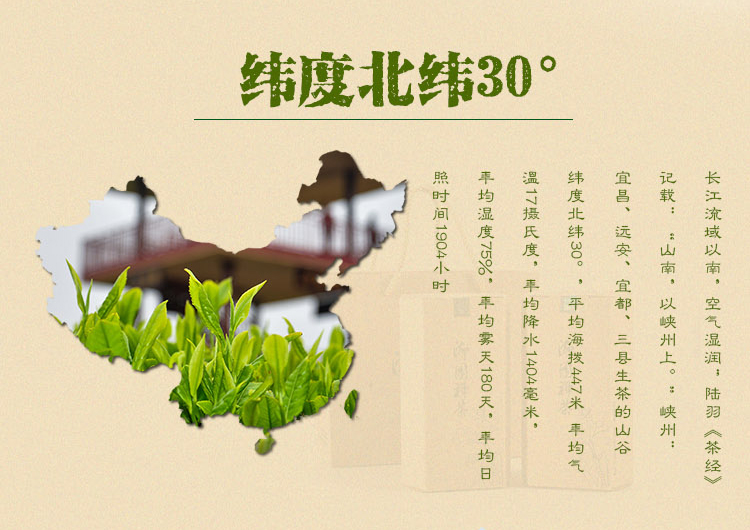 御园绿茶2019新茶高山云雾浓香型茶叶绿茶散装特级250g包邮