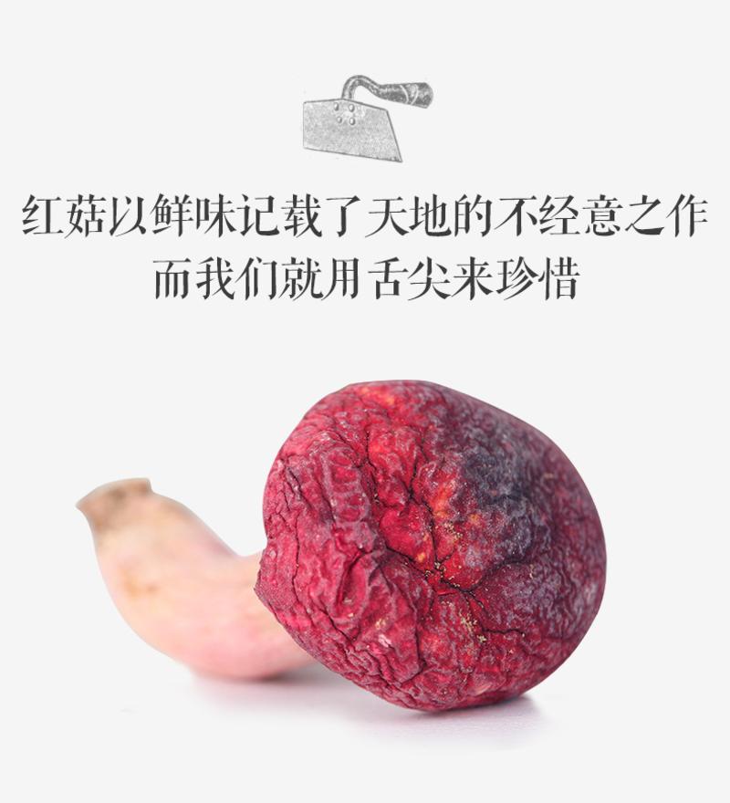 农家自产 野生红菇（正红）菇肉鲜红 汤汁鲜美 500g