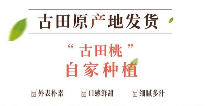 农家自产 古田凤都 白凤新鲜水蜜桃  现摘水果礼盒装