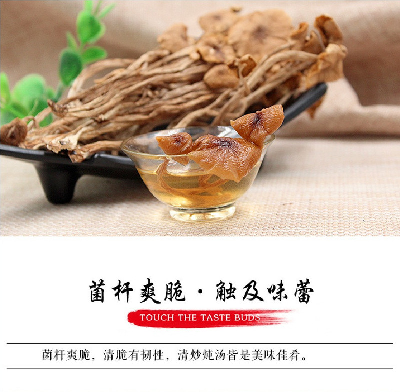 【邮乐宁德馆】【古田专区】茶树菇不开伞冰菇苞茶薪菇200g