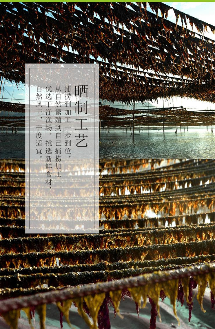 【邮乐宁德馆】【霞浦专区】海洋魅力 紫菜100g/袋 *10件 专供内陆偏远地区