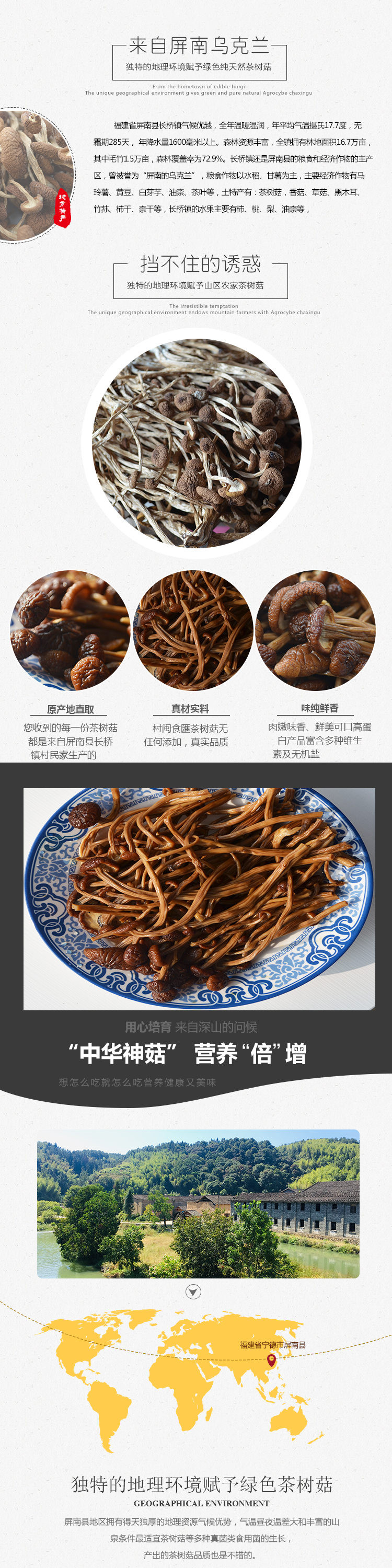 【邮乐宁德馆】【屏南专区】 电商扶贫助农 特级茶树菇 250g 茶薪菇冰菇苞盖嫩 24.5元 包邮