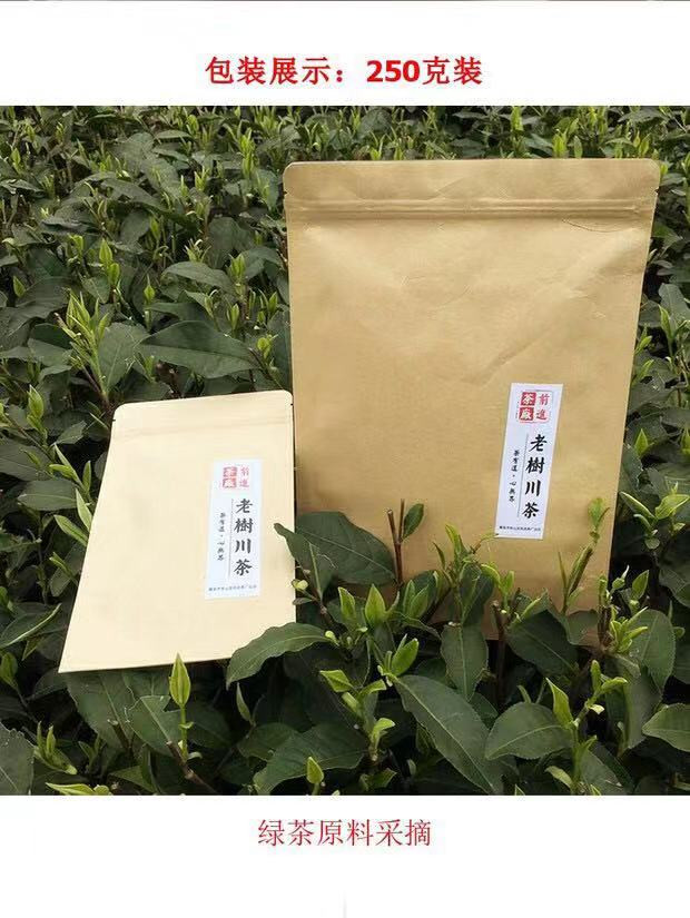 老树茶 四川雅安蒙顶毛峰 2019绿茶 蒙顶山茶250克 39.9元