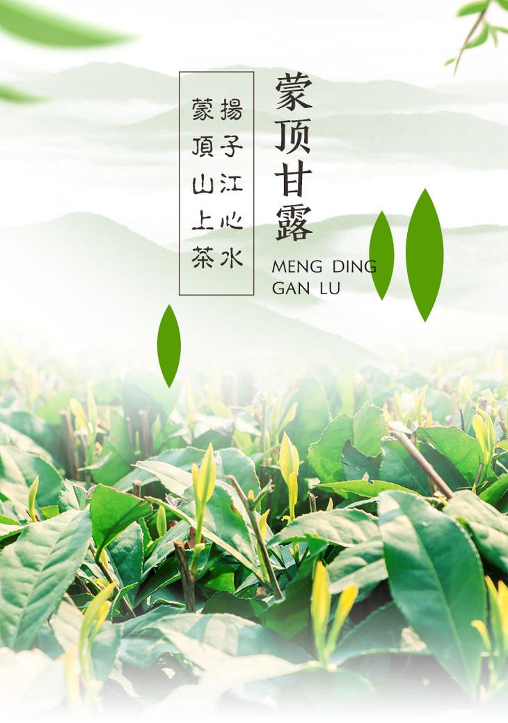 农家自产  雅安蒙顶山名茶甘露（100g/200g/500g）