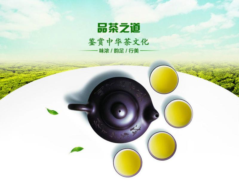 【房县馆】湖北竹山特产 精品手工有机绿茶 秦岭源毛尖盒装400G