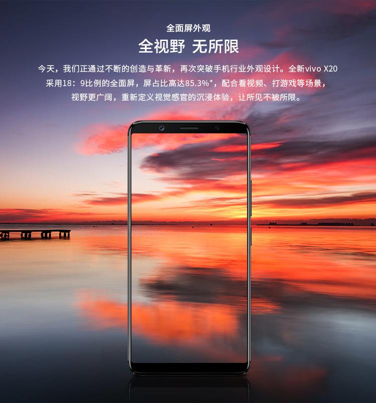 VIVO X20 全面屏双摄拍照手机 4GB+64GB  双卡双待