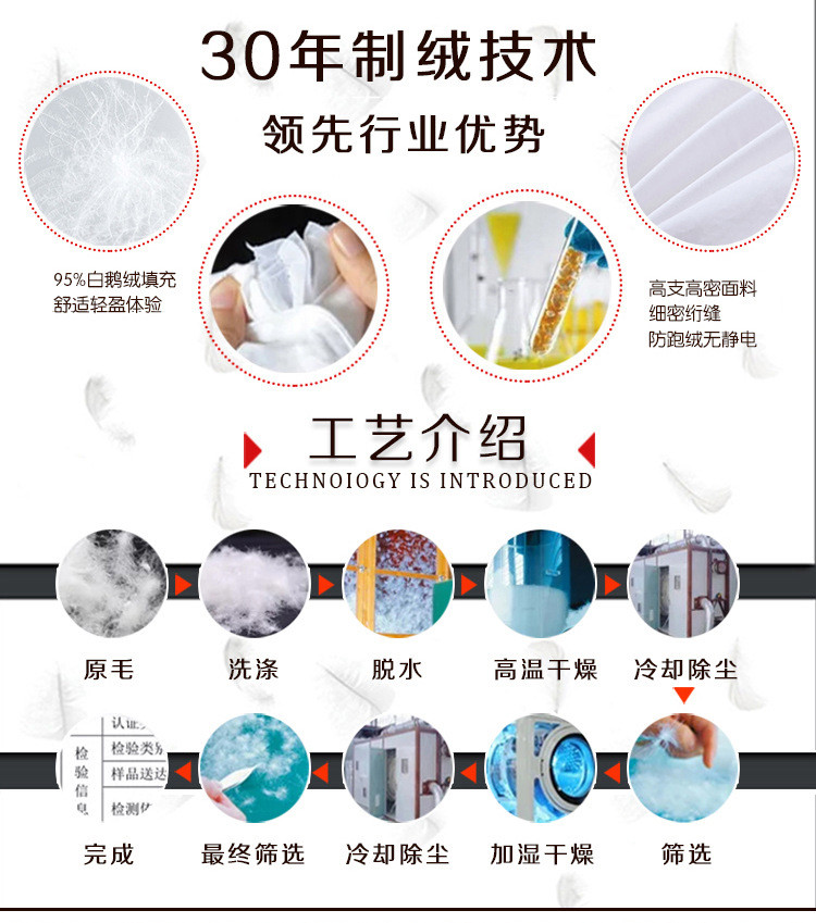 BeddingWish 鹅绒冬被 春秋被被芯保暖冬被冬天双人被子1.5米