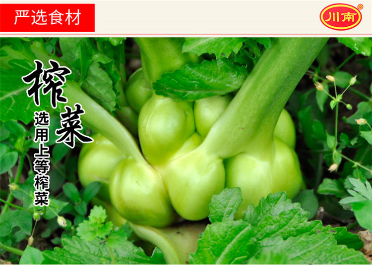 【10袋】川南口口脆榨菜53g*10袋 正宗美味榨菜咸菜酱菜泡菜袋装 包邮