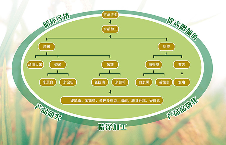 香满园特选长粒香米5kg/袋  黑土地优质东北大米 包邮