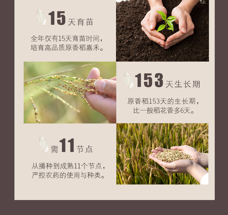  金龙鱼原香稻2.5kg/袋 五常基地生态稻花香米 包邮