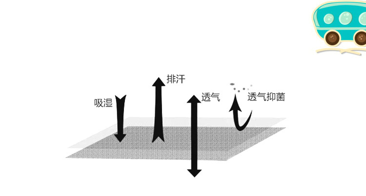 【守鑫商贸】金丝莉一蓝幽梦超冰席