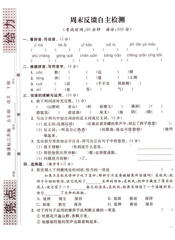 包邮 亮点给力周末优化设计大试卷 小学语文 五年级5年级 下册 新课标江苏版 亮点给力系列 含答案